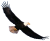 eagle_PNG1215