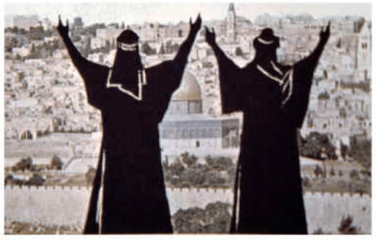 Two witnesses prophesy