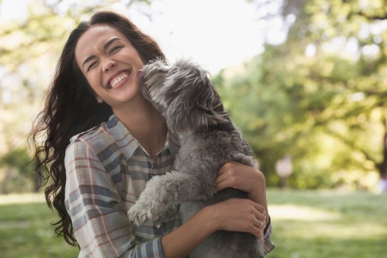 Mixed race woman playing with dog in park