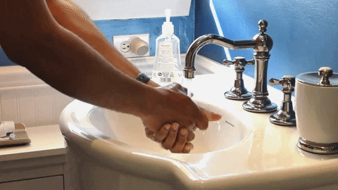 wash-hands-ani