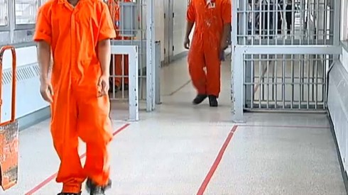 prisoners freed