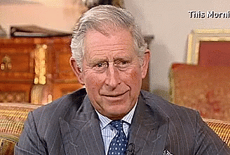 prince charles ani b