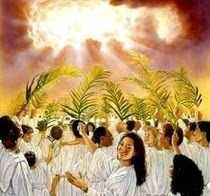 whiterobes palms throne