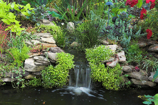 garden of eden ani 3