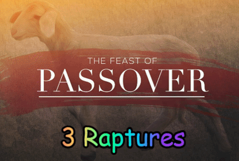 3 raptures ani