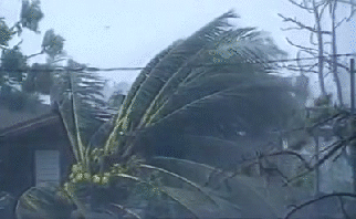 hurricanes ani