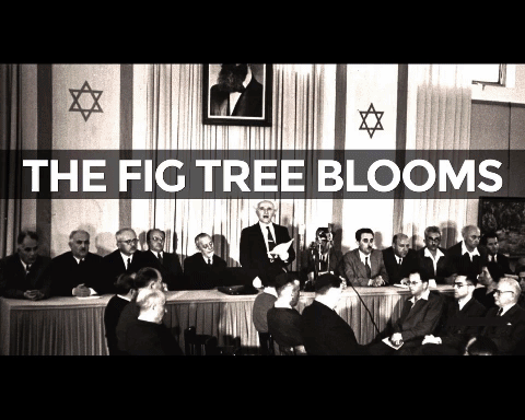 re-birth of Israel ani