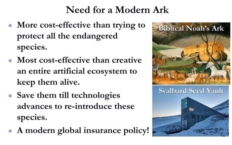Modern Ark - 4