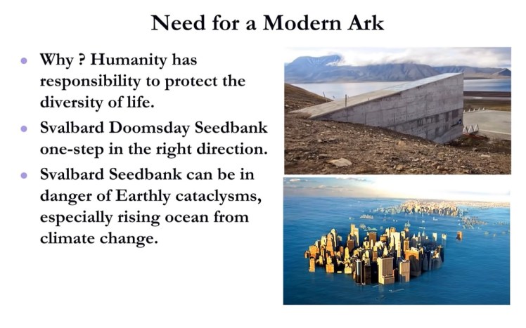 Modern Ark - 5