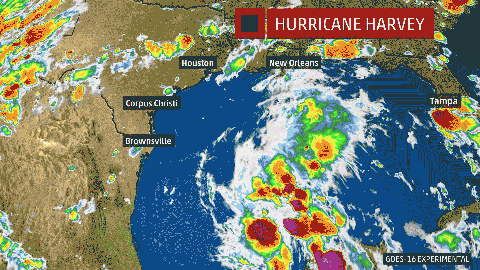 Hurricane Harvey ani