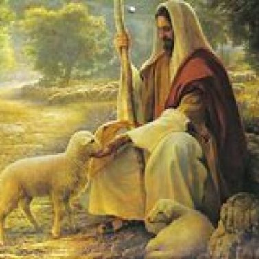 Shepherd and the Lamb - 5