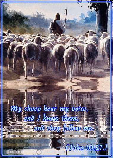 Shepherd and the Lamb ani - 1