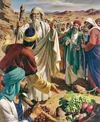 twelve spies to survey the land