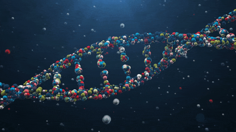 DNA-Animation