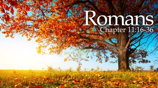 Romans-11-16-36