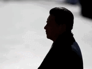 Xi Jinping