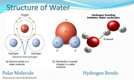 (electrons are unevenly distributed)