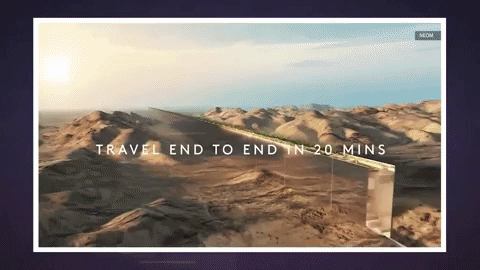 Utopia or Armageddon ani 2