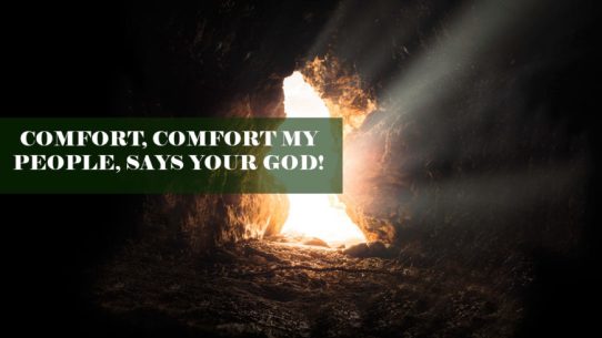 ComfortComfort-my-people