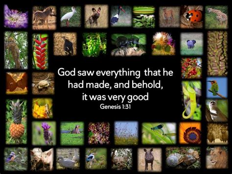 God saw that it was good
