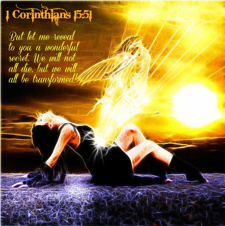 1Corinthians 1550-53