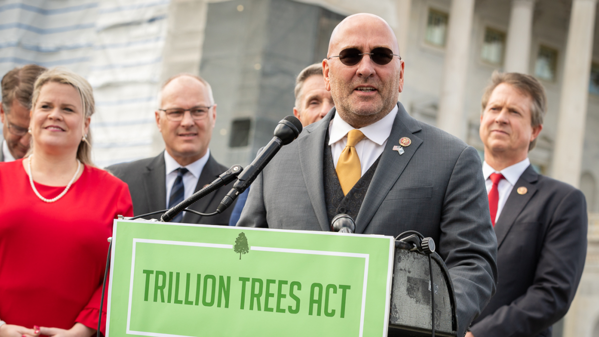 House Republicans propose planting a trillion trees