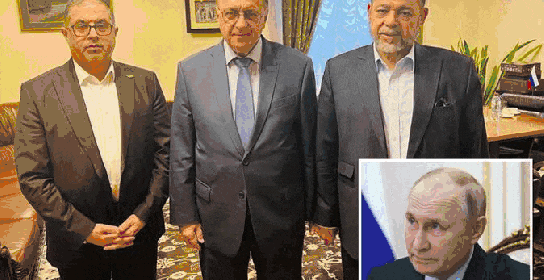 Free Will Decisions and Destiny ani