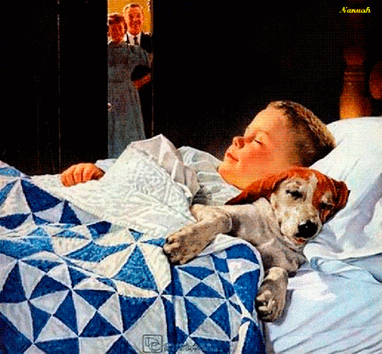 norman rockwell ani 1