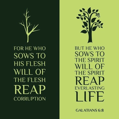 Sowing to the Spirit