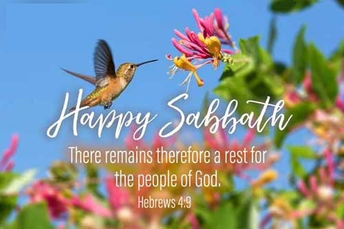 Christ's Sacrifice as Our Rest