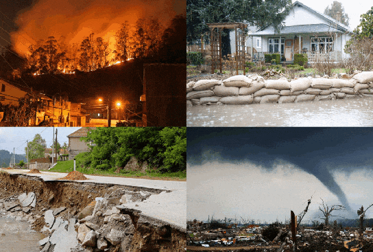 The Coming Famine ani